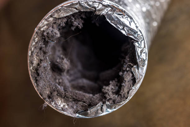 Best Air Vent Cleaning Services  in Lakeland, TN