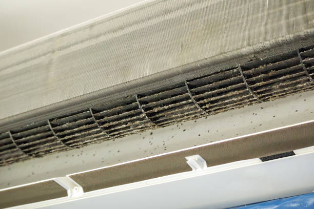Best Ventilation Cleaning Services  in Lakeland, TN